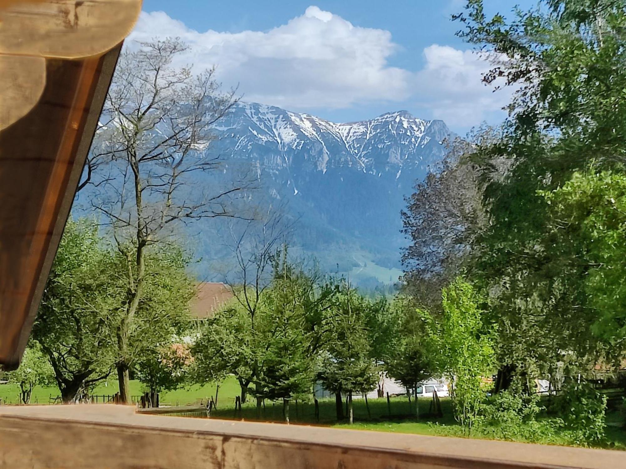 Ara Chalet Bran  Extérieur photo